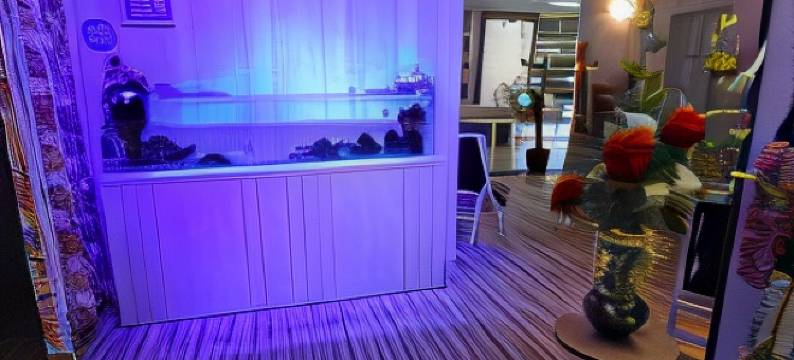 美利亚度假酒店 - 成人限定(Hotel Melia Resort(Adult Only))图片