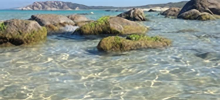 塔司吉亚住宿加早餐旅馆(B&B la Tasgia)图片