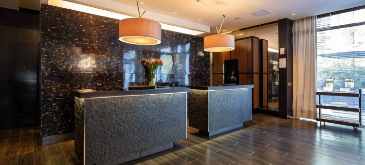 圣地亚哥佩特拉温德姆酒店(Wyndham Santiago Pettra)图片