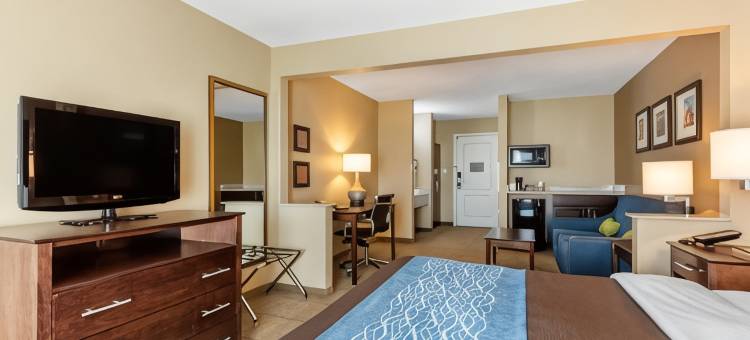 布莱恩-本顿特舒适套房酒店(Comfort Inn & Suites Bryant - Benton)图片