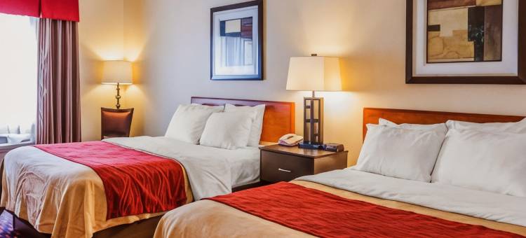 雅芳-印第安纳波利斯西舒适酒店(Comfort Inn Avon-Indianapolis West)图片