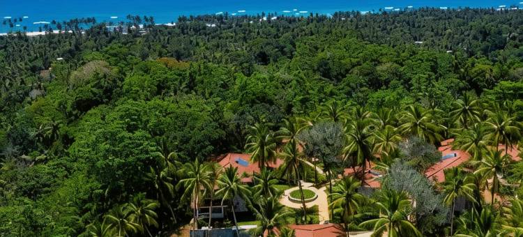 纯净之境水疗度假酒店(Tabula Rasa Resort & Spa)图片
