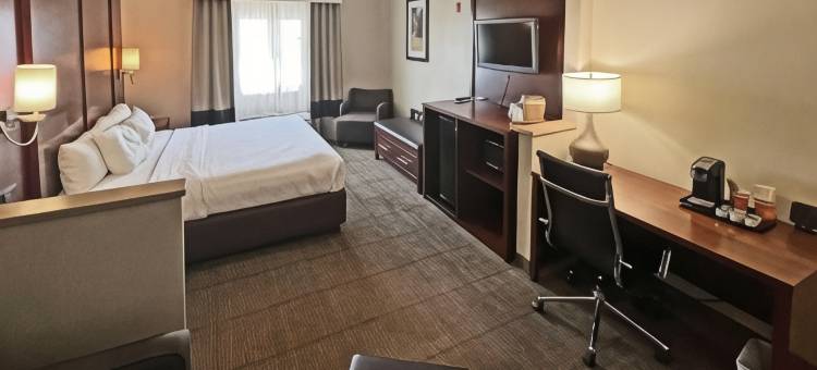 皮奥里亚体育馆舒适套房酒店(Comfort Suites Peoria Sports Complex)图片