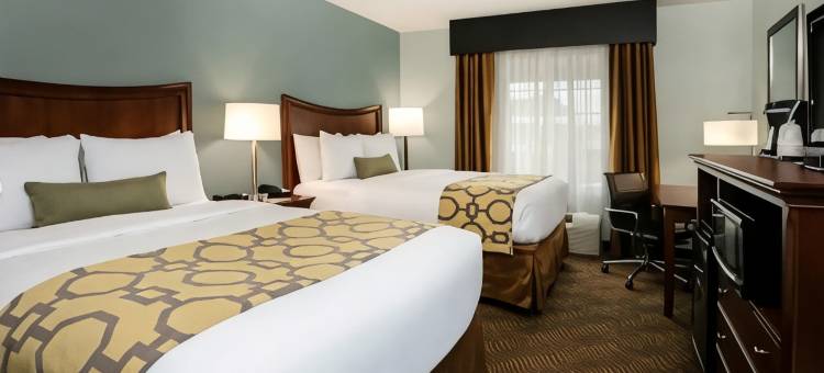 布拉塞尔顿温德姆呗盟酒店(Baymont by Wyndham Braselton / Winder)图片