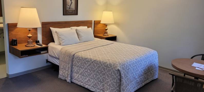 白杨柳汽车旅馆(White Willow Motel)图片