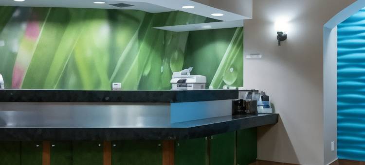 格林斯伯勒SpringHill Suites 酒店(SpringHill Suites Greensboro)图片