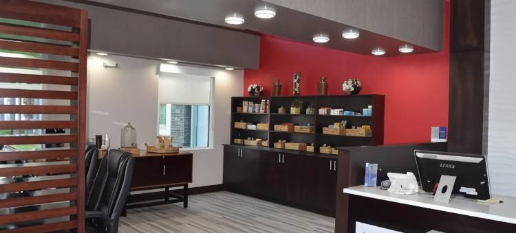 哈尔德维尔贝斯特韦斯特优质套房酒店(Best Western Plus Hardeeville Inn  Suites)图片