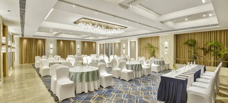 苏拉特丽柏酒店(Park Inn by Radisson Surat)图片