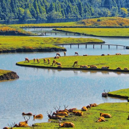 无锡+扬州+泰州6日5晚私家团