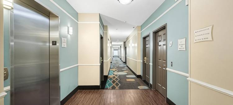 休斯顿霍比机场拉昆塔温德姆套房酒店(La Quinta Inn & Suites by Wyndham Houston Hobby Airport)图片