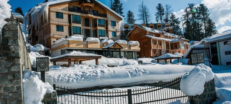 复古贡马酒店(The Vintage Gulmarg)图片