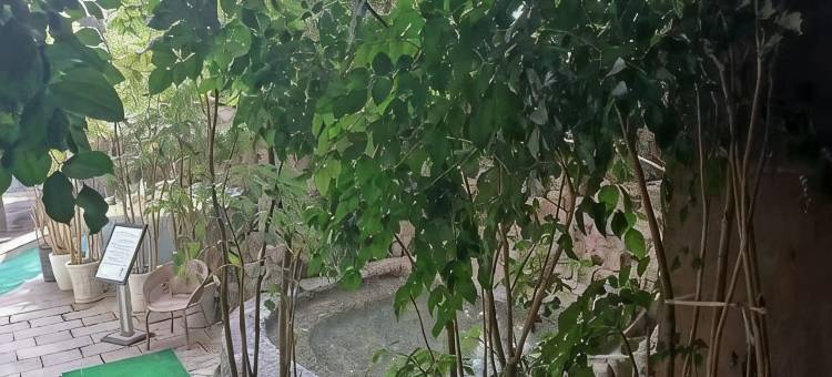 昆明永都酒店(云南农业大学店)图片