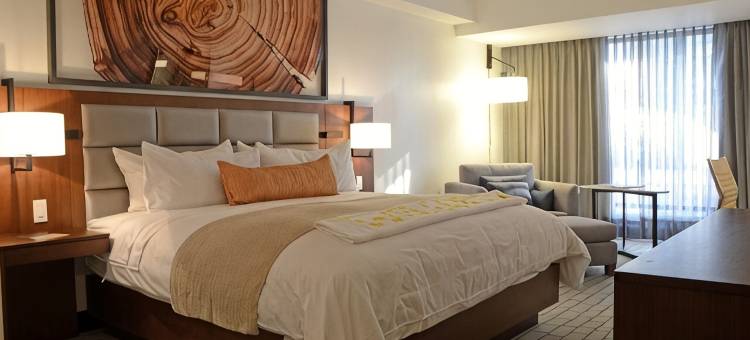 危地马拉皇家洲际酒店(InterContinental Hotels REAL GUATEMALA by IHG)图片