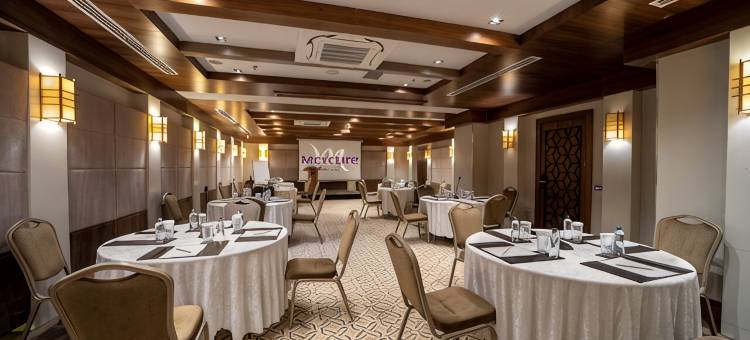 伊斯坦布尔博蒙蒂美居酒店(Mercure Istanbul Bomonti)图片