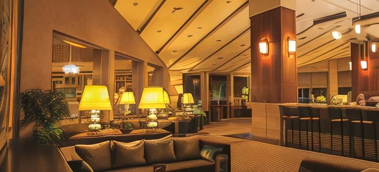 歌林酒店(Kolin Hotel Spa & Convention Center)图片