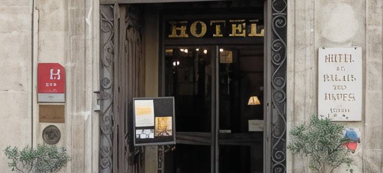 杜普莱德帕普酒店(Hôtel du Palais des Papes)图片