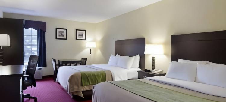 小石城西凯艺套房酒店(Quality Inn & Suites Little Rock West)图片