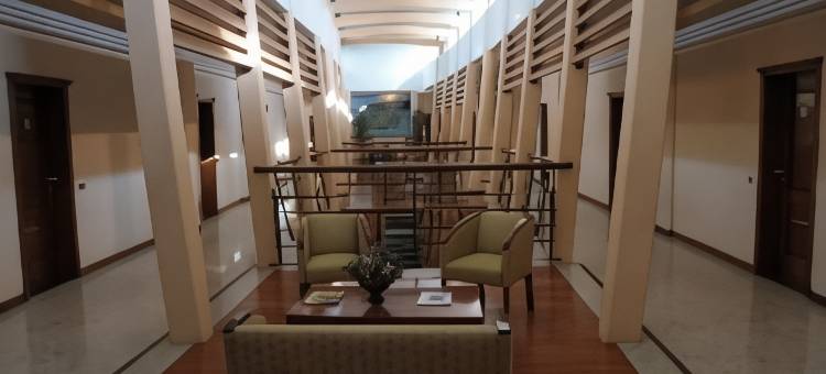 普图德拉斯尼威斯酒店(Hotel Puerto de Las Nieves)图片