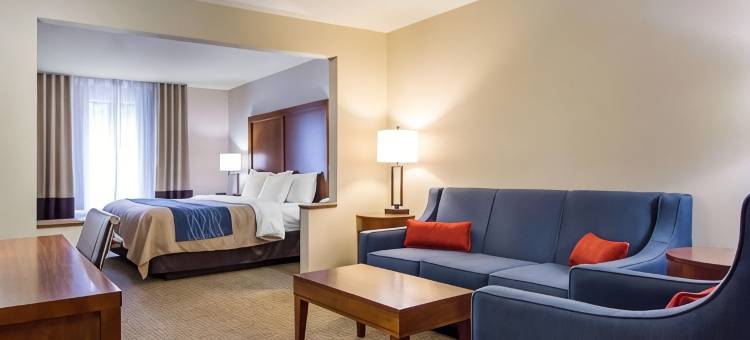 舒适酒店客栈&套房戴德伍德(Comfort Inn & Suites Deadwood)图片