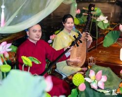 Tinglin Garden lotus exhibition kicks off—unlock summer lotus delights