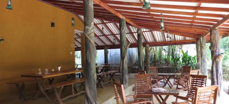 辛哈拉加观鸟小屋(Sinharaja Birder's Lodge)图片