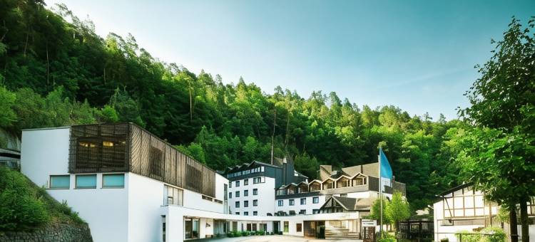 格瑞扎祖格布鲁克酒店(Hotel Zugbrücke Grenzau Gmbh)图片