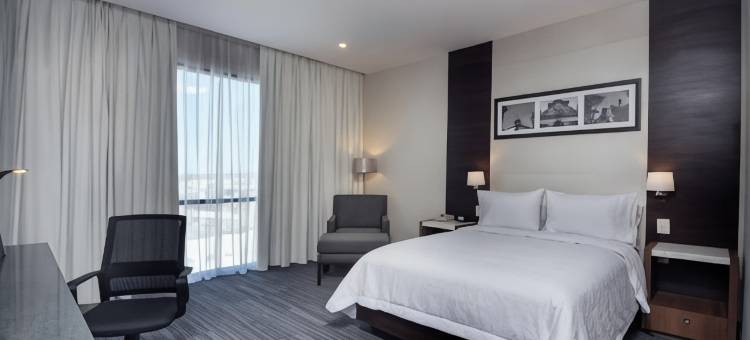 圣路易斯波托西希尔顿欢朋酒店(HAMPTON INN BY HILTON SAN LUIS POTOSI)图片