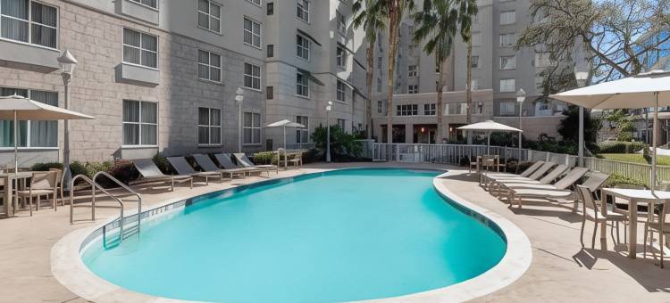 希尔顿坦帕机场-西岸家木套房酒店(Homewood Suites by Hilton Tampa Airport-Westshore)图片