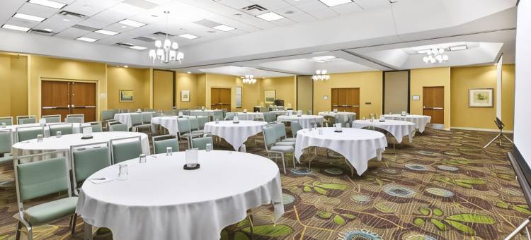 洲际酒店集团博林布鲁克假日酒店及套房(Holiday Inn & Suites Bolingbrook)图片