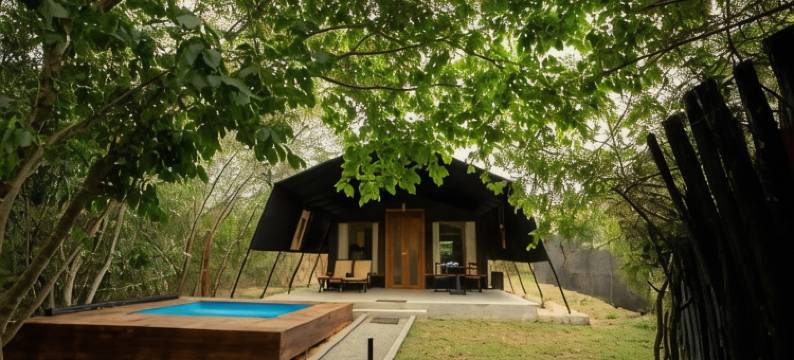 韦帕图花豹小径旅馆(Leopard Trails Wilpattu)图片