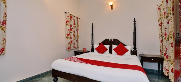 Hotel O Tordi Haveli图片