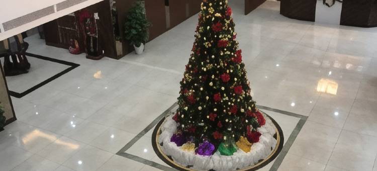 清达1号酒店(Thanh Dat Hotel I)图片