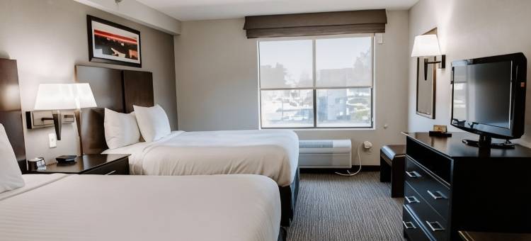 尚迪利/杜勒斯机场蔚景温德姆酒店(Wingate by Wyndham Chantilly / Dulles Airport)图片