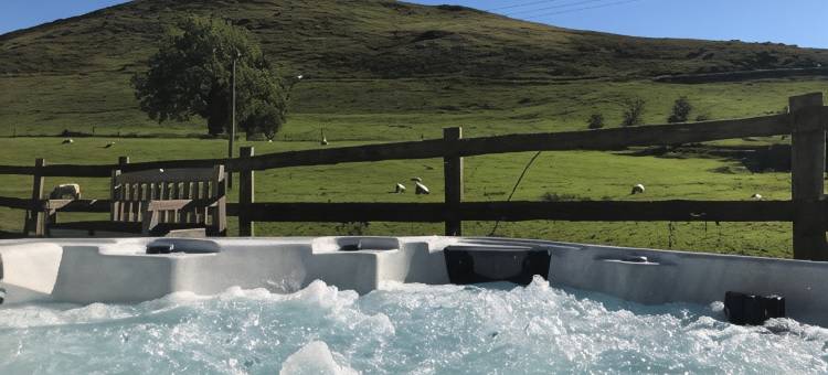 栏纳尔蒙之手酒店(The Hand at Llanarmon)图片