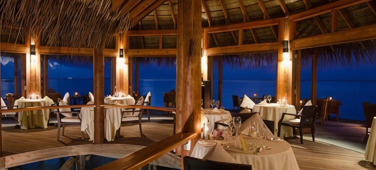 马尔代夫美憬阁米里希V别墅(V Villas Maldives at Mirihi - MGallery Collection)图片