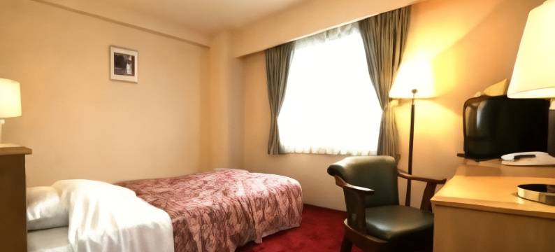 绿色商务饭店-八日市(Business Green Hotel Youkaichi)图片