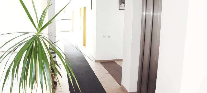 埃利泽酒店(Elizeu Hotel)图片