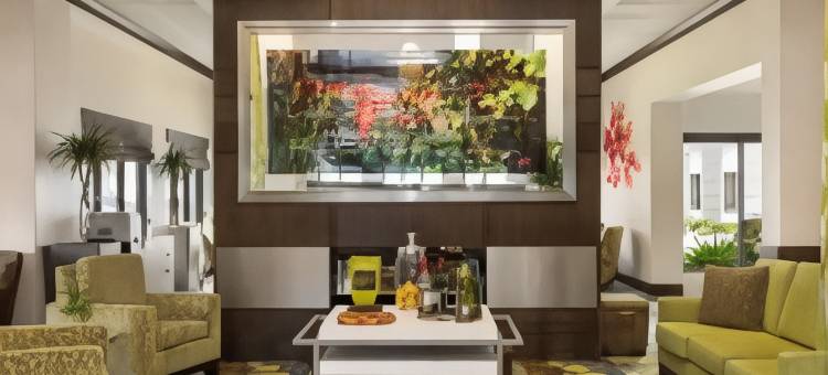 休斯顿西北希尔顿花园酒店(Hilton Garden Inn Houston NW/Willowbrook)图片