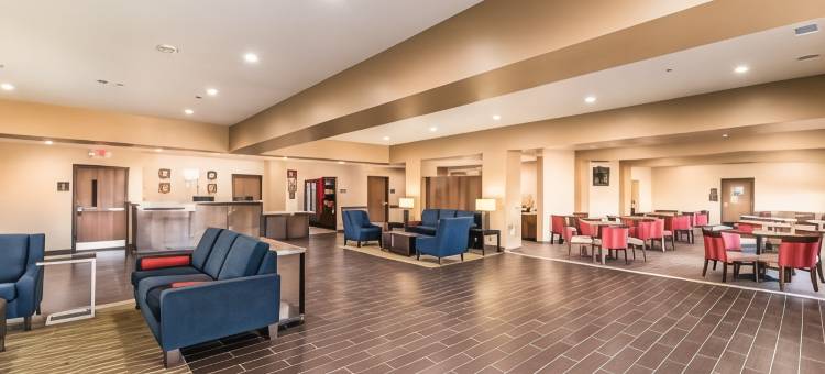 大草原城阿灵顿北部舒适套房酒店(Comfort Suites Grand Prairie - Arlington North)图片