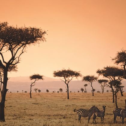 肯尼亚10日9晚私家团