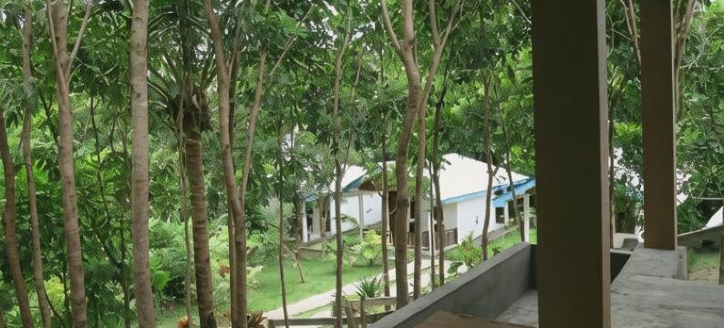 唐科科马卡卡度假村(Tangkoko Macaca)图片