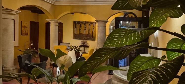 瓦哈卡迪维纳之家精品酒店(Hotel Casa Divina Oaxaca)图片