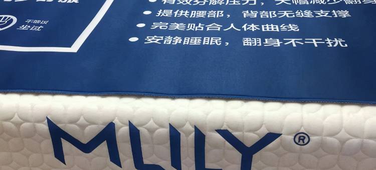 漫怡轻居酒店(哈尔滨冰雪大世界东北虎林园店)图片