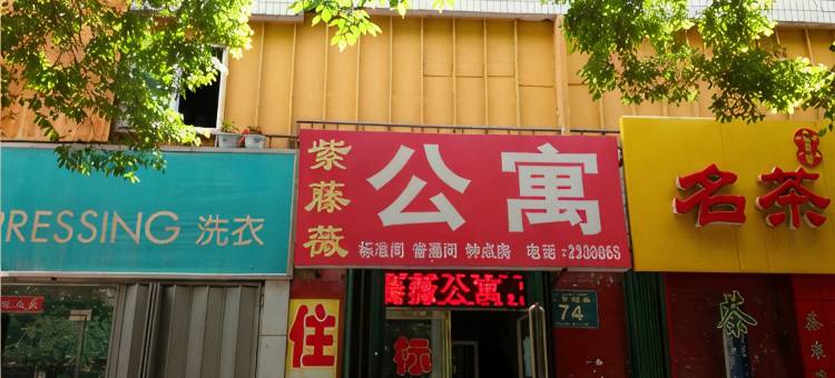 昌吉紫藤薇公寓图片