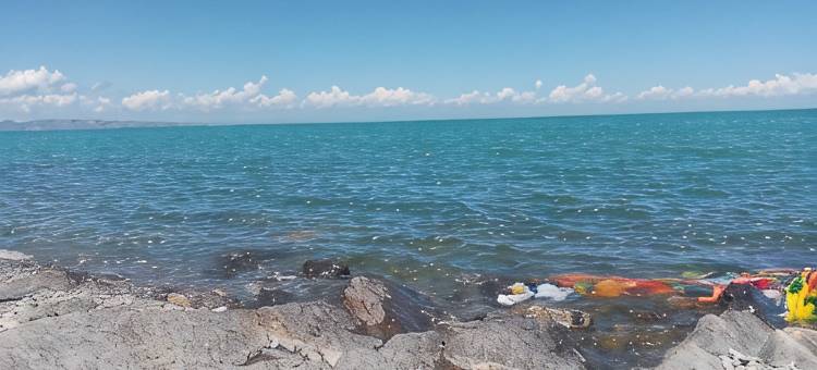 青海湖福全农庄图片