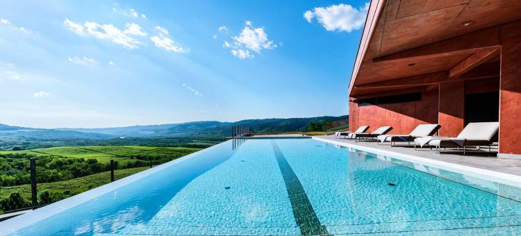 罗萨尼奇葡萄酒设计酒店(Winery & Design hotel ROXANICH)图片