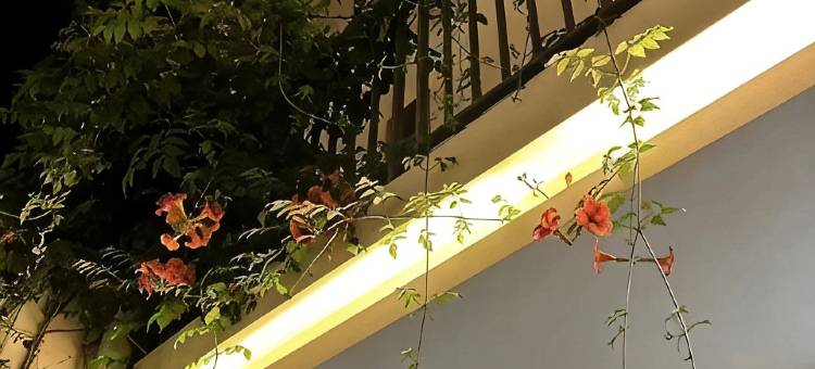 书影小院民宿(三圣花乡幸福梅林)图片