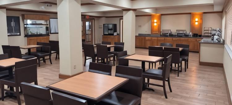 拉伯克南温德姆温盖特酒店(Wingate by Wyndham Lubbock TX South)图片