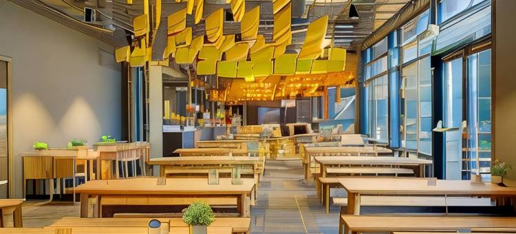 阿姆斯特丹市西部梅宁阁酒店(Meininger Hotel Amsterdam City West)图片