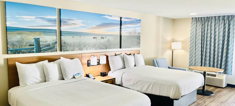 伯利森堡沃斯戴斯酒店(Days Inn by Wyndham Burleson Ft. Worth)图片